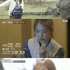 '숲속' 박신혜 "휴대전화 끄니 신경쓸 것 없어졌다"