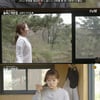 [★밤TView]'숲속' 박신혜X소지섭, 같은 듯 다른 행복 찾기