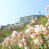 ‘하이원 드론 영상 공모전’  27일 접수마감
