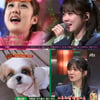 [★밤TV]'슈가맨' 배우 이전의 가수 장나라, 16년만의 무대 '뭉클'