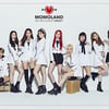 모모랜드 소속사 더블킥→MLD 사명 변경 