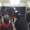 [경마]한국마사회, 산학협력 말산업 인력 양성