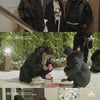 '하트시그널2' 8주 연속 화제성 1위..2위는 '이불밖'
