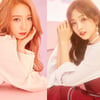 스타쉽 "우주소녀 미기·선의 분리 활동? 계약 어긋나"(공식)