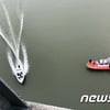 "양예원 처벌"..스튜디오 실장 투신에 쏟아지는 靑국민청원