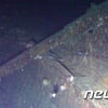 신일그룹 돈스코이호 발견하자 제일제강 주가도 상승