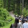 '된 여름 보낸 자신에게 잣향 스민 솔바람을'..잣향기 푸른숲