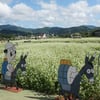"허생원·동이, 메밀꽃밭 걷는 장돌뱅이처럼"..평창효석문화제