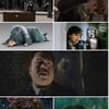 '신동사2' NEW 신비한 동물 영상..J.K롤링의 최애 동물은?