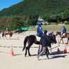 마사회, 말산업 전문인력 양성기관 교류 행사
