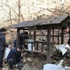 하이원, 야생동물 먹이주기 행사 진행