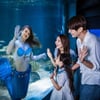 한화아쿠아플라넷, 슈퍼패스 이용권 출시