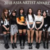 AOA "'2018 AAA' 수상 영광..엘비스 감사"[독점영상]