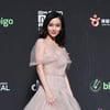 '2018 MAMA 등장' 안젤라 베이비 누구? 인형 외모 중화권 배우