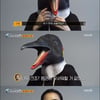 '동물의 사생활' 문근영, 펭귄 위해 탈 준비 "펭귄도 무서워할 듯"