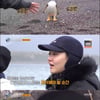 '동물의 사생활' 문근영X에릭남X김혜성, 펭귄 촬영 본격 시작[★밤TView]