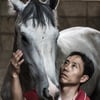 렛츠런파크 서울, 첫경마주 프리기수들 27전 21승 대활약 