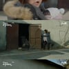 '막영애17' 김현숙, 시골서 멧돼지와 조우..포획 성공