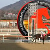 한국마사회 렛츠런파크 서울 3월 경마시행계획 발표