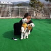 '우슈공주' 임소희 "집 떠나 운동... 강아지들 덕분에 덜 외롭다"