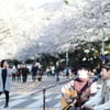 [경마]렛츠런파크 서울, 무료입장 이벤트