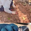 '농부사관학교' 윤보미, 종영 소감.."감사합니다"