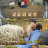 '풀뜯소3' 박명수, 양털깎기 도전.."깎아도 계속 나와"[별별TV]