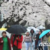 오늘(23일) 날씨, 차차 흐려져 전국 비..미세먼지 '나쁨'