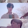 엔플라잉, 벚꽃 아래서..'봄이 부시게' 밴드 버전 MV 공개