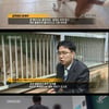'그알' 복제견 메이, '식용견 천지' 韓의 비윤리적 연구[★밤TView]
