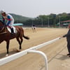 마사회,  트랙라이딩 향상과정 운영 지원