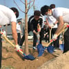포항, '쾌적한 도시 위해' 도심숲 조성 식목행사 동참