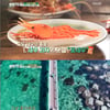 '배틀트립' 노라조, 트와이스 꺾고 울릉도 최종 우승 [★밤TView]