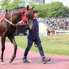 [경마] ‘렛츠런 베스트 턴 아웃 상’ 첫 발 ‘글로벌축제’