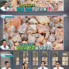 보스웰리아, 연골 보호와 진통제 효과↑
