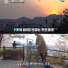'어서와2' 남아공 친구들, 저스틴의 올나이트 투어 시작 