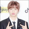 강다니엘 측 "亞 투어·新 사업 진행? 확정된 바 없어"(공식)