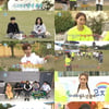 '나혼산' 金 예능 전체 1위..이연희→혜리 역대급 꿀케미 