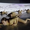 [조하나가 읽어주는 PADAF] ⑤ BODY CLOUD