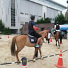 한국마사회, 전국 체육 교사와 함께 제5회 말산업 토크콘서트