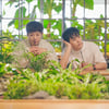 사이로, 29일 새 싱글 '우리 둘 사이로' 발매