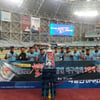 메티스, 2019 KBO 챌린저스 직장인 야구대회 2연패