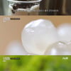 '스푸파2' 백종원, 타이베이하면 버블티..맛있다"[별별TV]