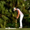 [LPGA] 김세영·허미정, 대만 대회서 공동 4위... 이민지 또 준우승
