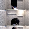 A씨, 엘린 해명방송 반박 "여전히 거짓말 어이없다" 주장[전문]
