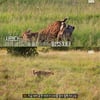 첫방 '라이프 오브 사만다', 김남길이 들려준 치타 모성애