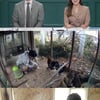 '공부가머니' 7년째 '닭 아빠' 고2 입시생 등장..고민은? 