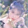 아이유 '러브 포엠' 11월 가온 월간차트 3관왕(공식)