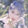 아이유의 라이벌은 아이유? 적수 없는 독보적 女솔로[스타이슈]
