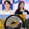 장성규부터 펭수까지, 2019 예능 '新히트상품'②[방송결산] 